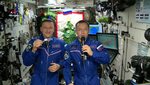 Мир космоса сайт стрижка 2024 С новым годом 2024 самолет