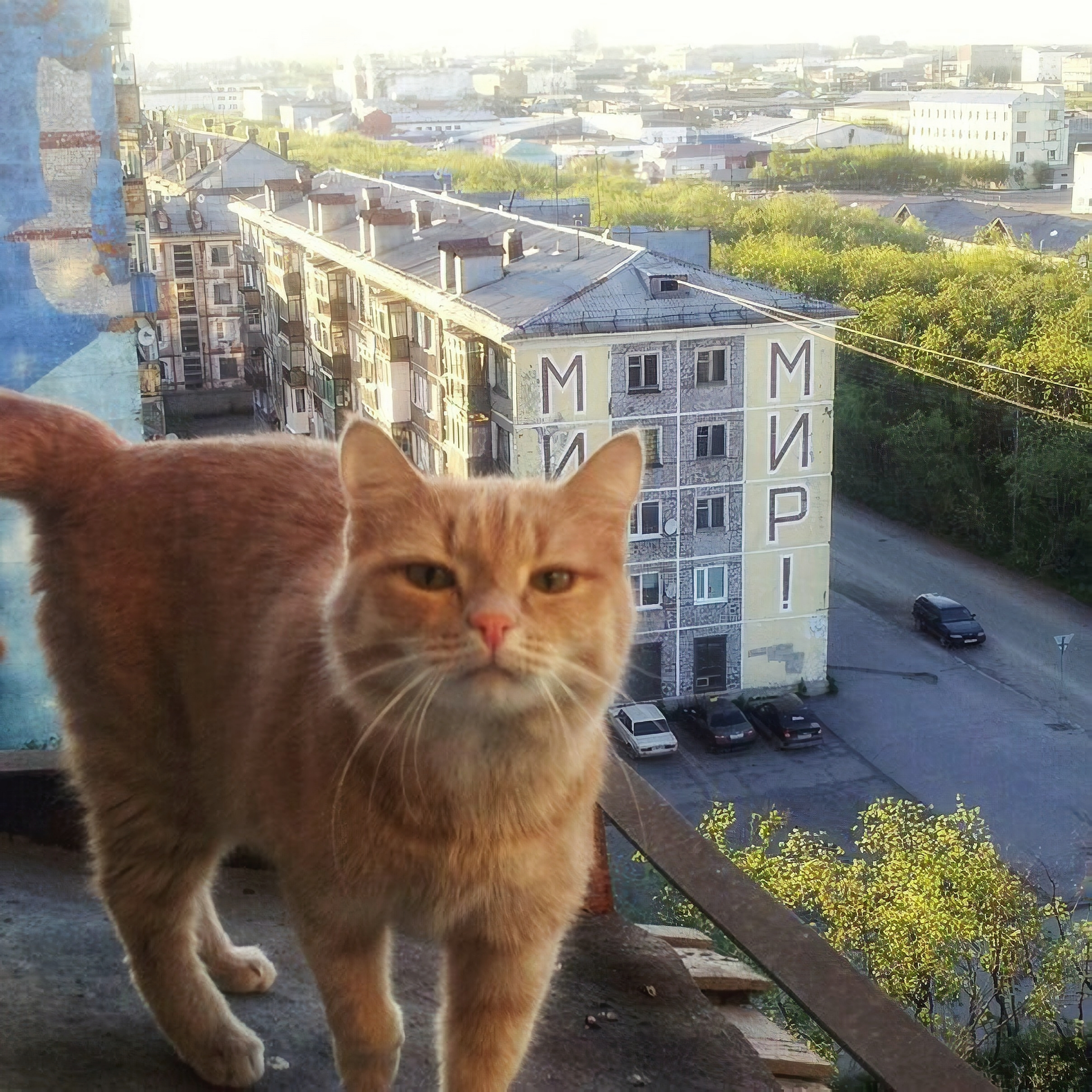 Мир коте фото elbonjour's loved tracks Last.fm