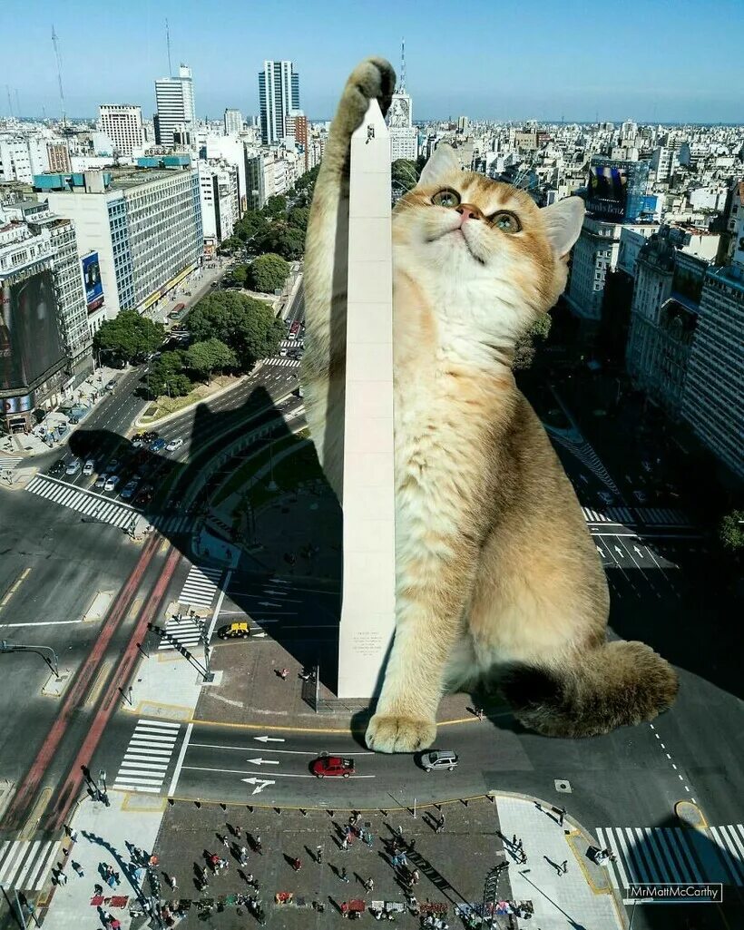 Мир коте фото Фотохудожник представляет, что было бы, если бы кошки были великанами