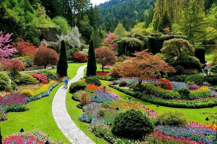 Мир ландшафтного дизайна Descubre Tu Mundo : Destino: los preciosos Jardines Butchart en Canadá "un Edén 
