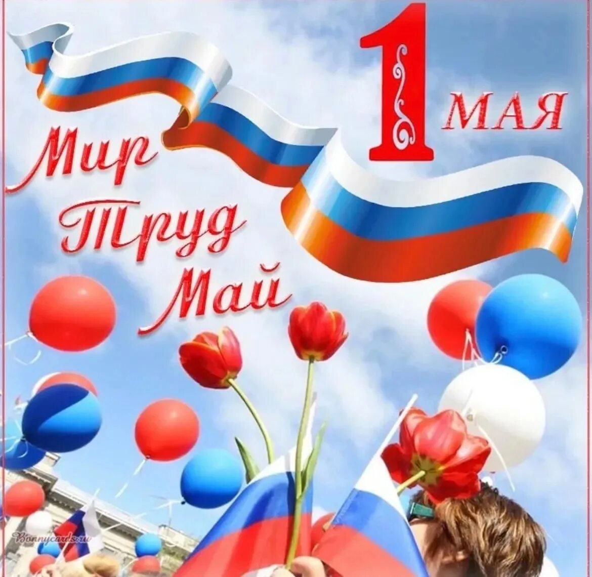 Мир май фото ГАПОУ СО "ТЭТ"