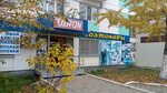 Мир морей ул ленина 59 фото Ленина рудный