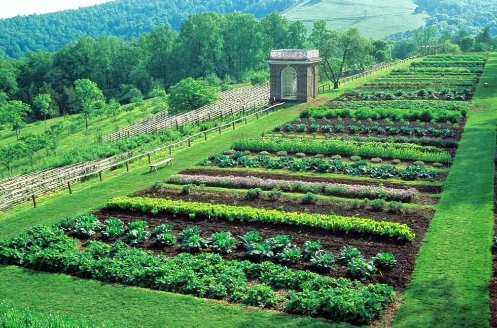 Мир огорода фото The Gardening Sage of Monticello Vegetable garden design, Farm layout, Landscape