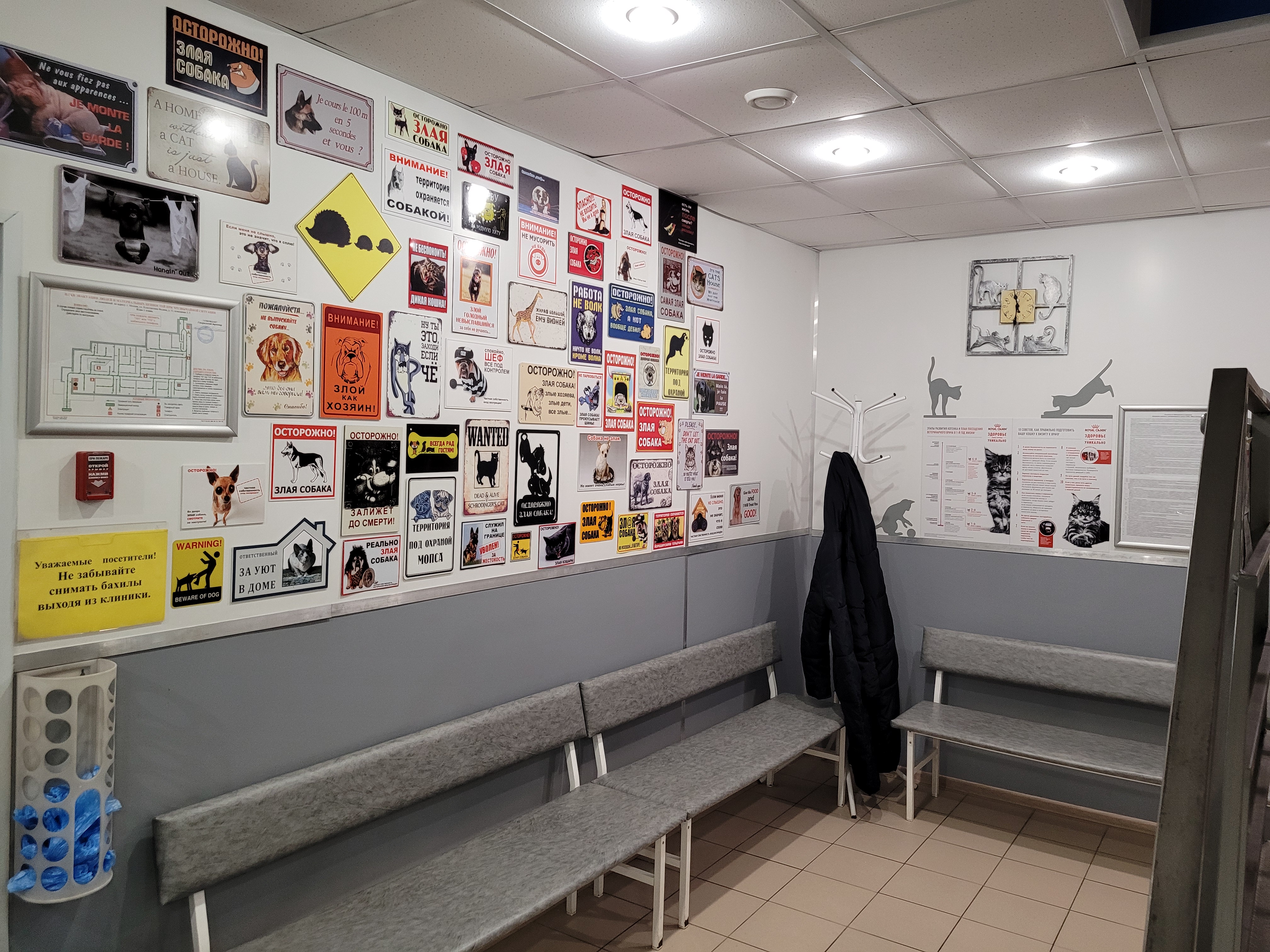 Мир питомцев ул константина федина 11 фото Отзывы о "Мир питомцев" на Щелковской, Москва, улица Константина Федина, 11 - Ян