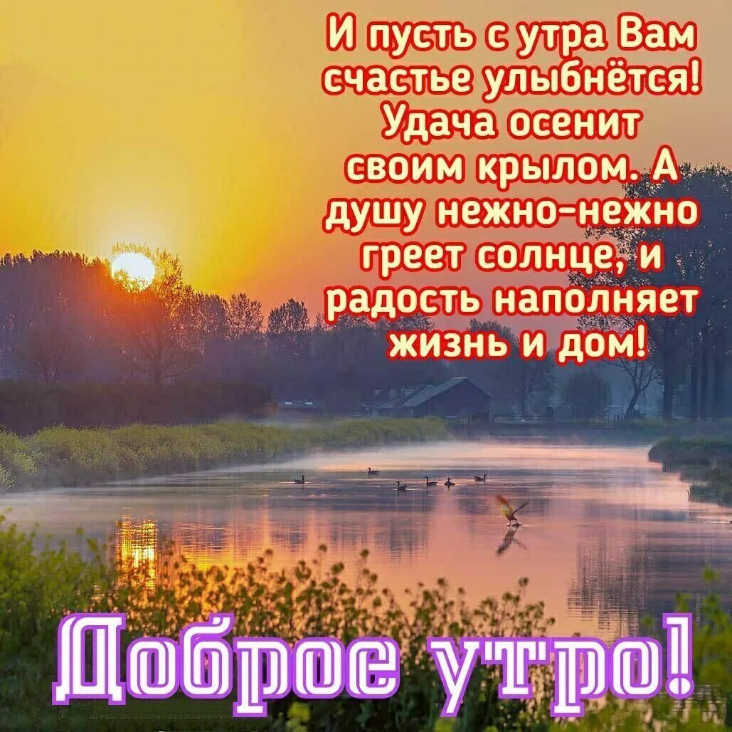 Мир прекрасен доброе утро картинки с пожеланиями Пин на доске Доброе утро