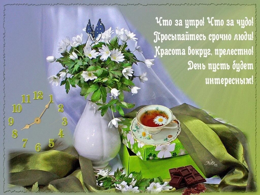 Мир прекрасен доброе утро картинки с пожеланиями Бодрого утречка! 2024 ФЭНТЕЗИ ВКонтакте
