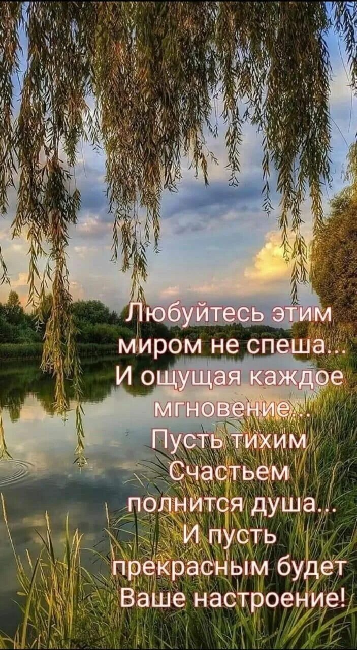 Мир прекрасен доброе утро картинки с пожеланиями Пин от пользователя Inrumaster на доске С добрым утром, днём и вечером Доброе ут