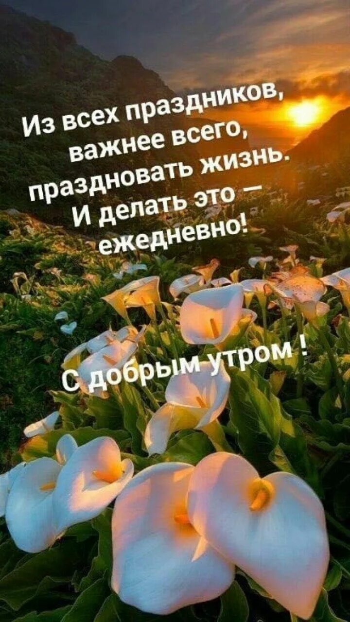 Мир прекрасен доброе утро картинки с пожеланиями Pin on Доброе утро Funny quotes, Travel aesthetic, Good morning