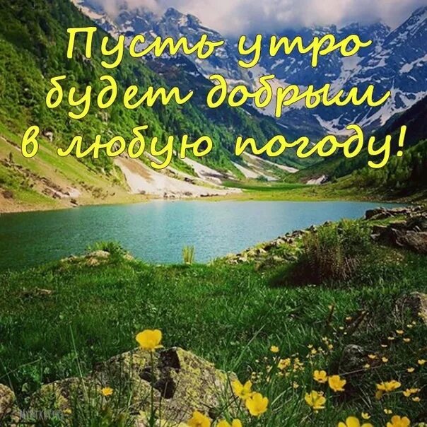 Мир прекрасен доброе утро картинки с пожеланиями С добрым утром! ✨ Пусть все сокровенные, долгожданные мечты и прекрасные идеи не