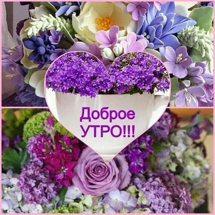Мир прекрасен доброе утро картинки с пожеланиями Пин от пользователя Swistunowa Elena Mixailowna на доске Доброе утро Доброе утро