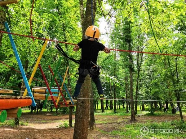 Мир приключений тамбов лесопарк дружба фото Отзыв о Веревочный парк "Мир приключений" (Россия, Тамбов) Хорошее место, стоит 