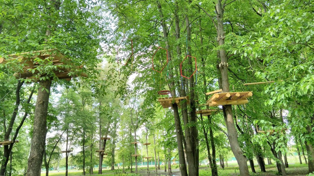 Мир приключений тамбов лесопарк дружба фото Мир приключений, верёвочный парк, Тамбов, лесопарк Дружба - Яндекс Карты