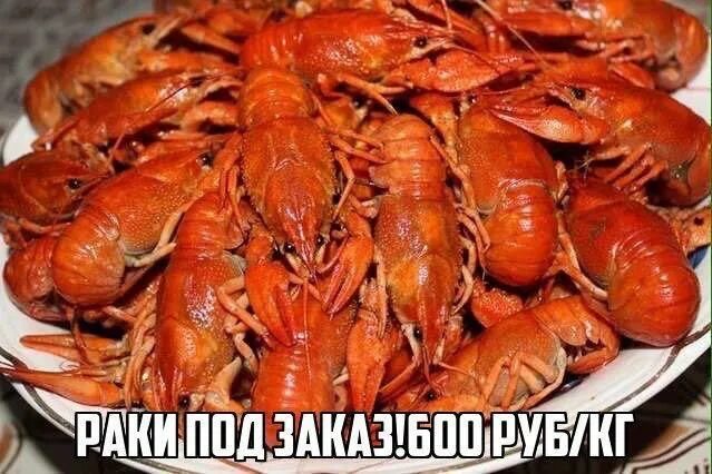 Мир раков фото Раки - купить в Энгельсе, цена 600 руб., продано 30 сентября 2017 - Продукты пит