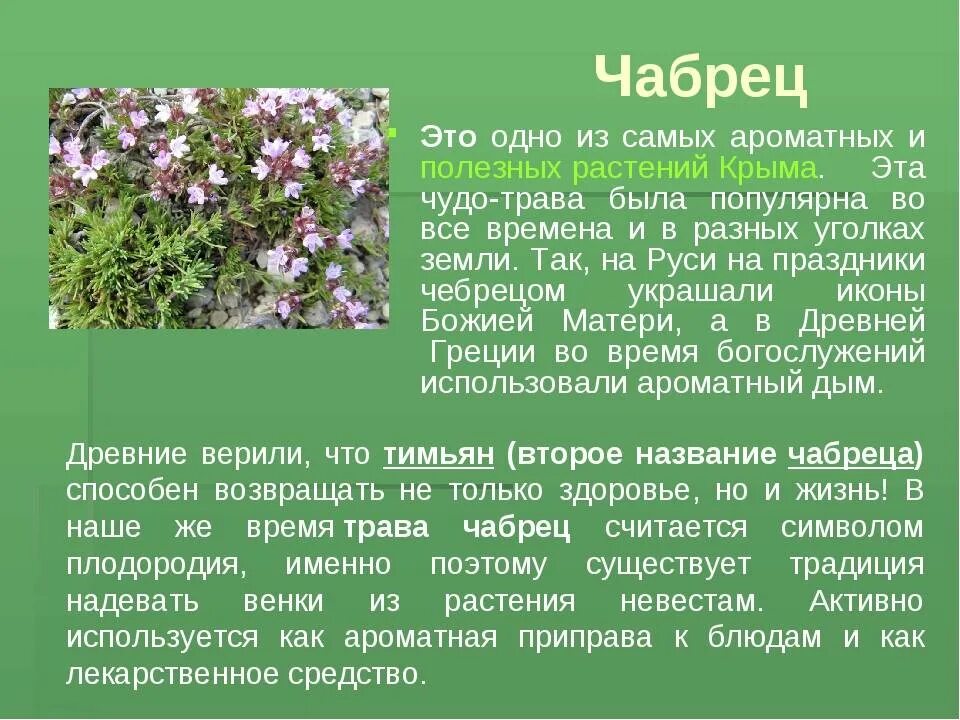 Мир растение фото и описание Лекарственные растения и травы, описание, виды целебных растений