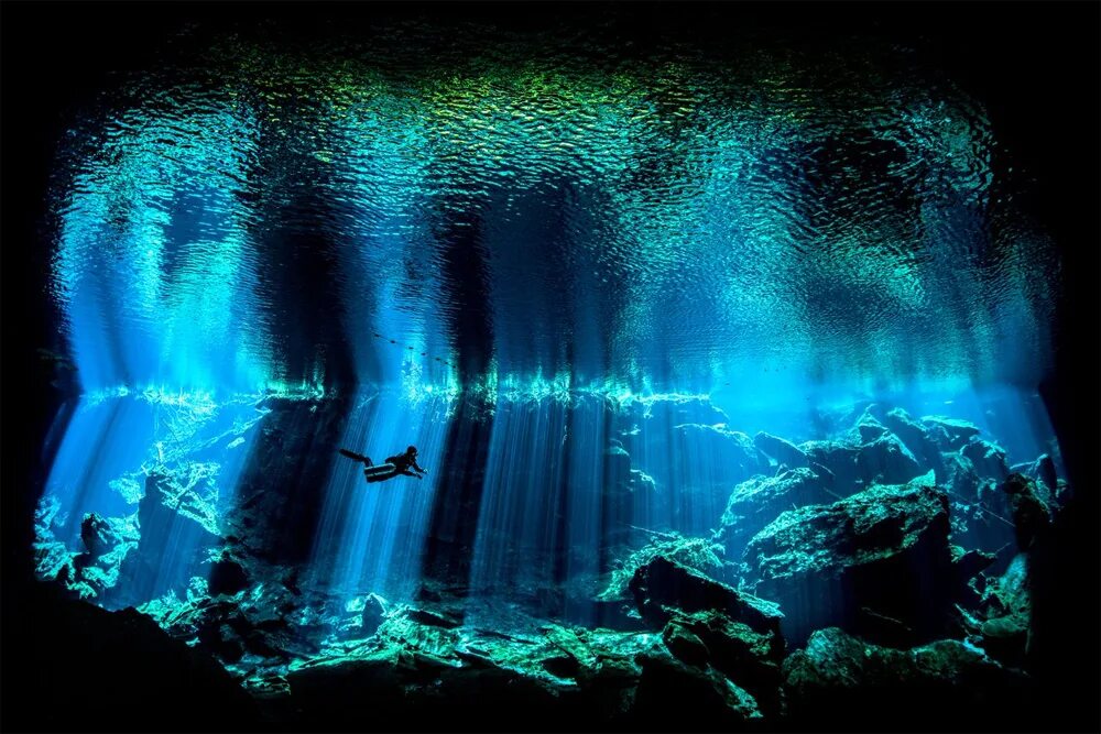 Мир воды фото Названы лауреаты 2017 Underwater Photographer of the Year PHOTOWEBEXPO