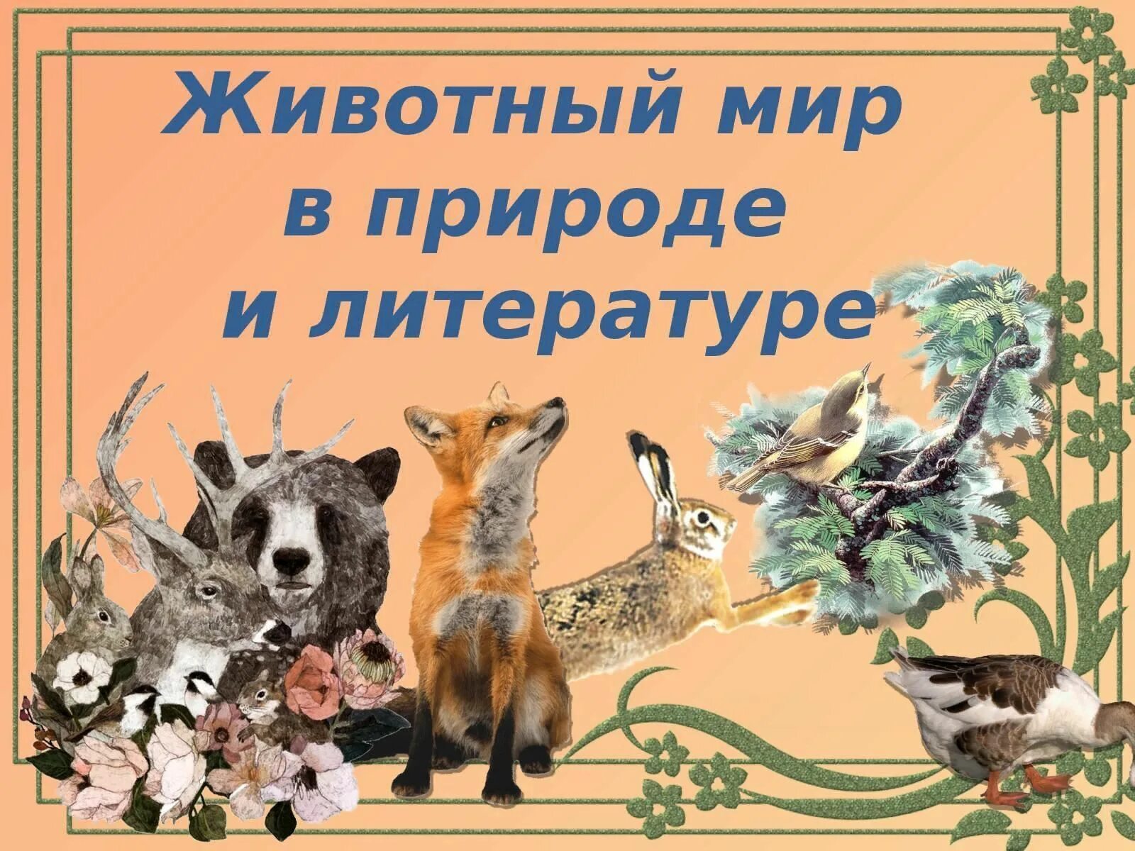 Мир животных в картинках книга Познавательная программа" Мир пернатых и зверей ждет поддержки от друзей". 2022,