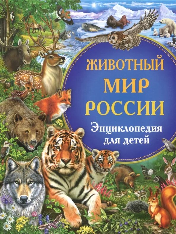 Мир животных в картинках книга Книга: "Животный мир России. Энциклопедия для детей" - Сергей Рублев. Купить кни