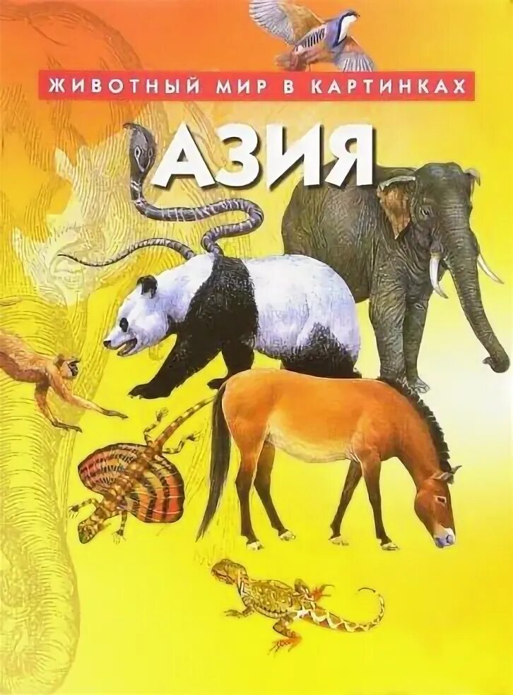 Мир животных в картинках книга Книга: "Азия". Купить книгу, читать рецензии ISBN 5-86208-257-3 Лабиринт