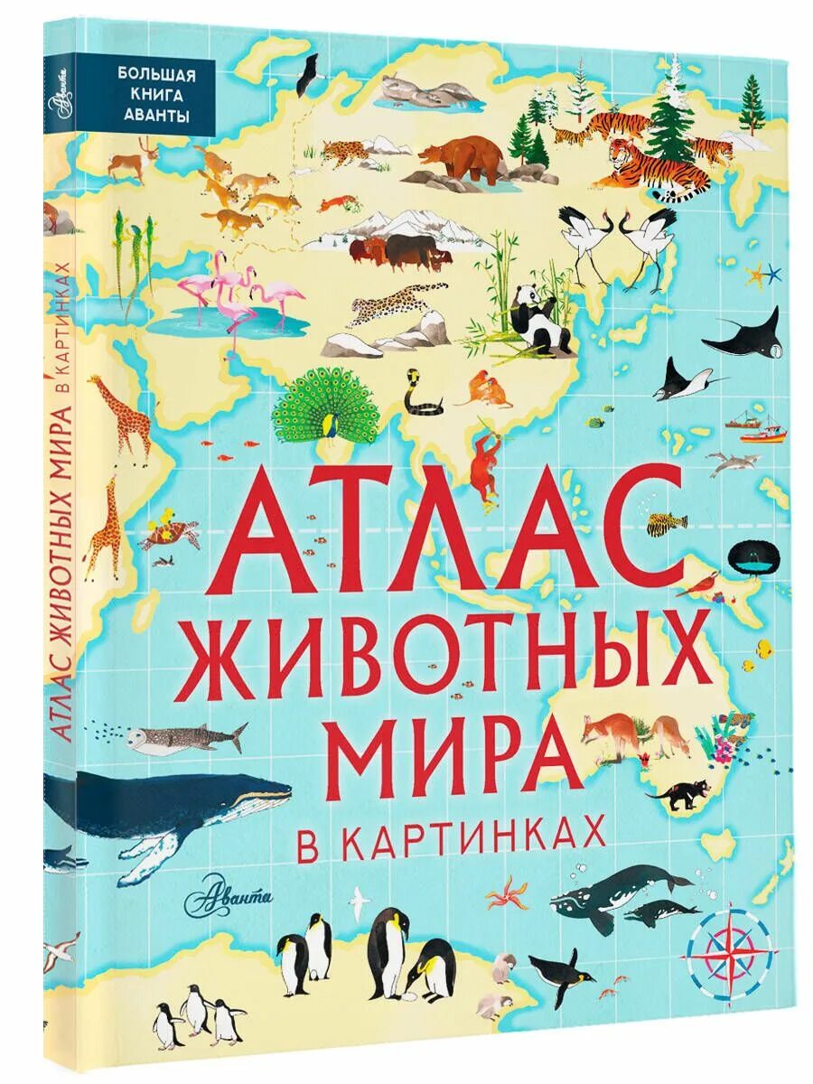 Мир животных в картинках книга Атлас животных мира в картинках Хокинс Эмили - купить в интернет-магазине OZON с