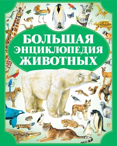 Мир животных в картинках книга Большая энциклопедия животных - купить с доставкой по выгодным ценам в интернет-