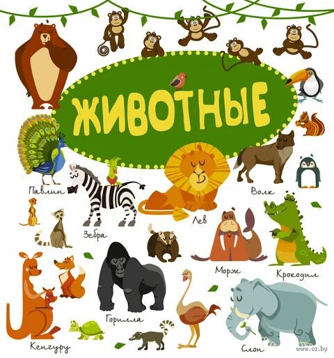 Мир животных в картинках книга Книга в картинках для дошколят Животные купить в Минске, доставка по Беларуси
