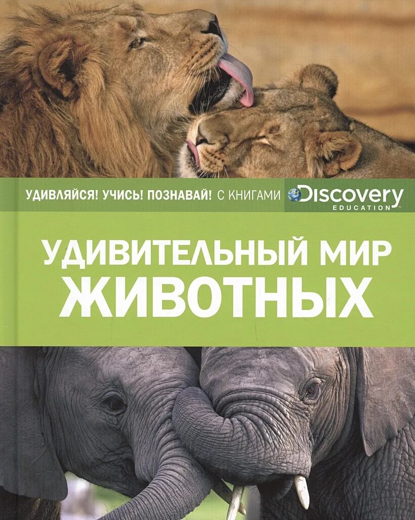 Мир животных в картинках книга Книга Удивительный мир животных (нов.оф.) * Семенова М. (ред.) - купить книгу по