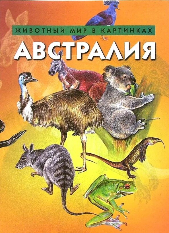 Мир животных в картинках книга Книга: "Австралия". Купить книгу, читать рецензии ISBN 5-86208-255-7 Лабиринт