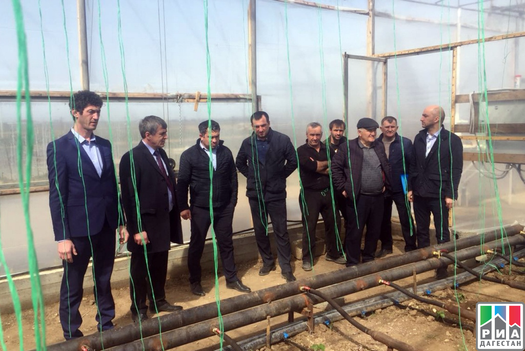 Мира экоплант республика дагестан кумторкалинский район фото В Кумторкалинском районе проинспектировали объекты предпринимательской деятельно