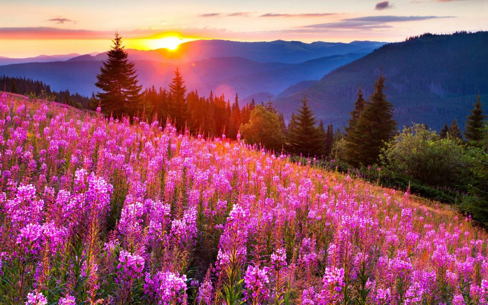 Мира фото яндекс Dede on Twitter Sunset nature, Landscape, Nature