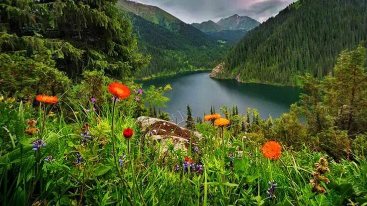 Мира фото яндекс 09/01/2015 Scripture What a beautiful world, Flower landscape, Nature
