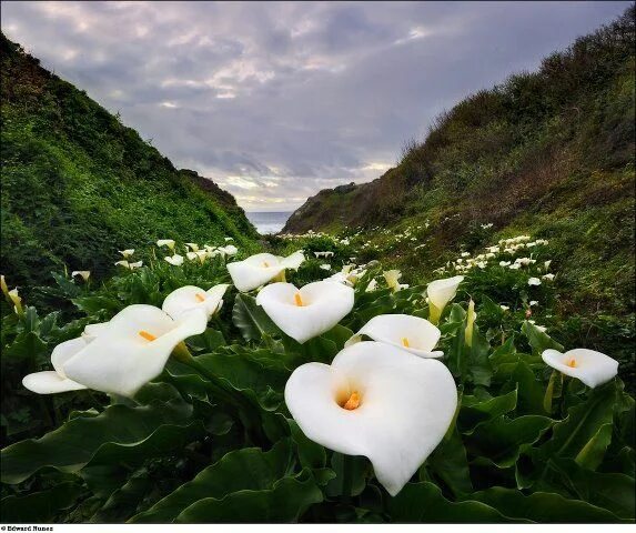 Мира фото яндекс Terra ... só nela os homens encontram a vida. Natureza, Fotos engraçadas e Fotos