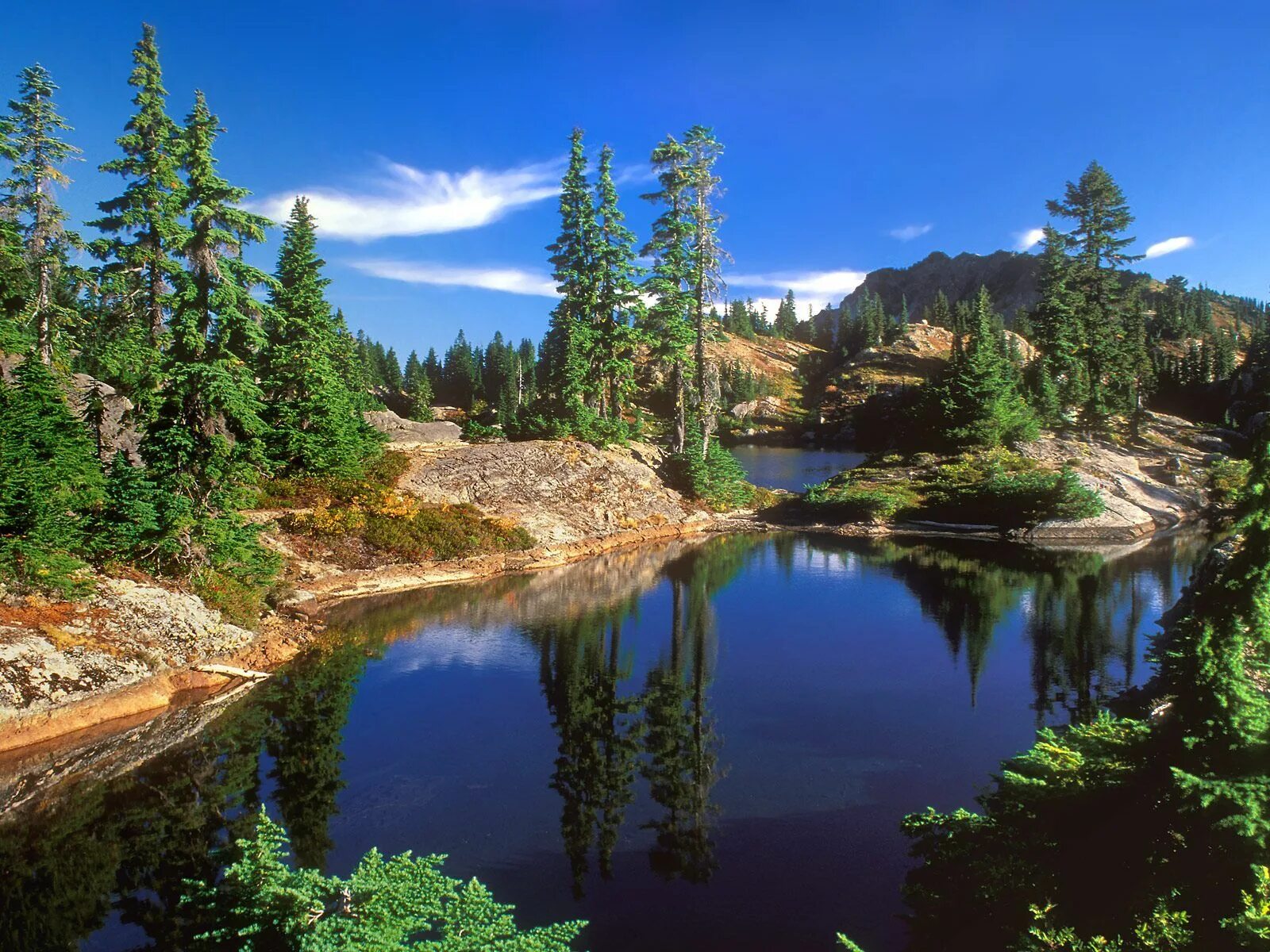 Мира фото яндекс Wenatchee National Forest, WA Wenatchee national forest, Beautiful places, Washi