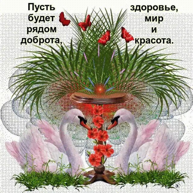 Мира и добра доброе утро картинки пожелания Знакомства@Mail.Ru - Наталья, 62 жылғы, Khosta, танысу жігіт жаста 51 - 80 жас