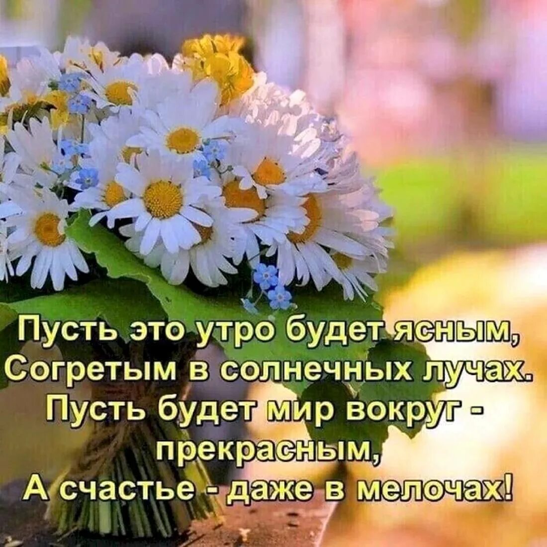 Мира и добра доброе утро картинки пожелания Post #2381 - На пенсии (brpS-JZjfmFlNDJi)