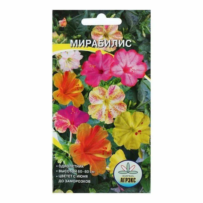 Мирабилис цветок семена фото Семена цветов Мирабилис смесь окрасок, О, 0,5 г 2407986 В магазине Есть все