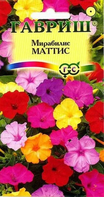 Мирабилис цветок семена фото Мирабилис "Маттис"