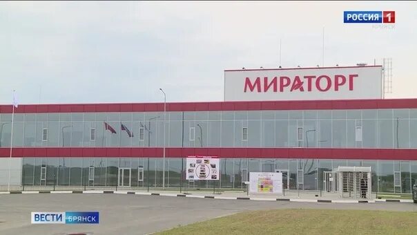 Мираторг брянск фото Брянский мираторг