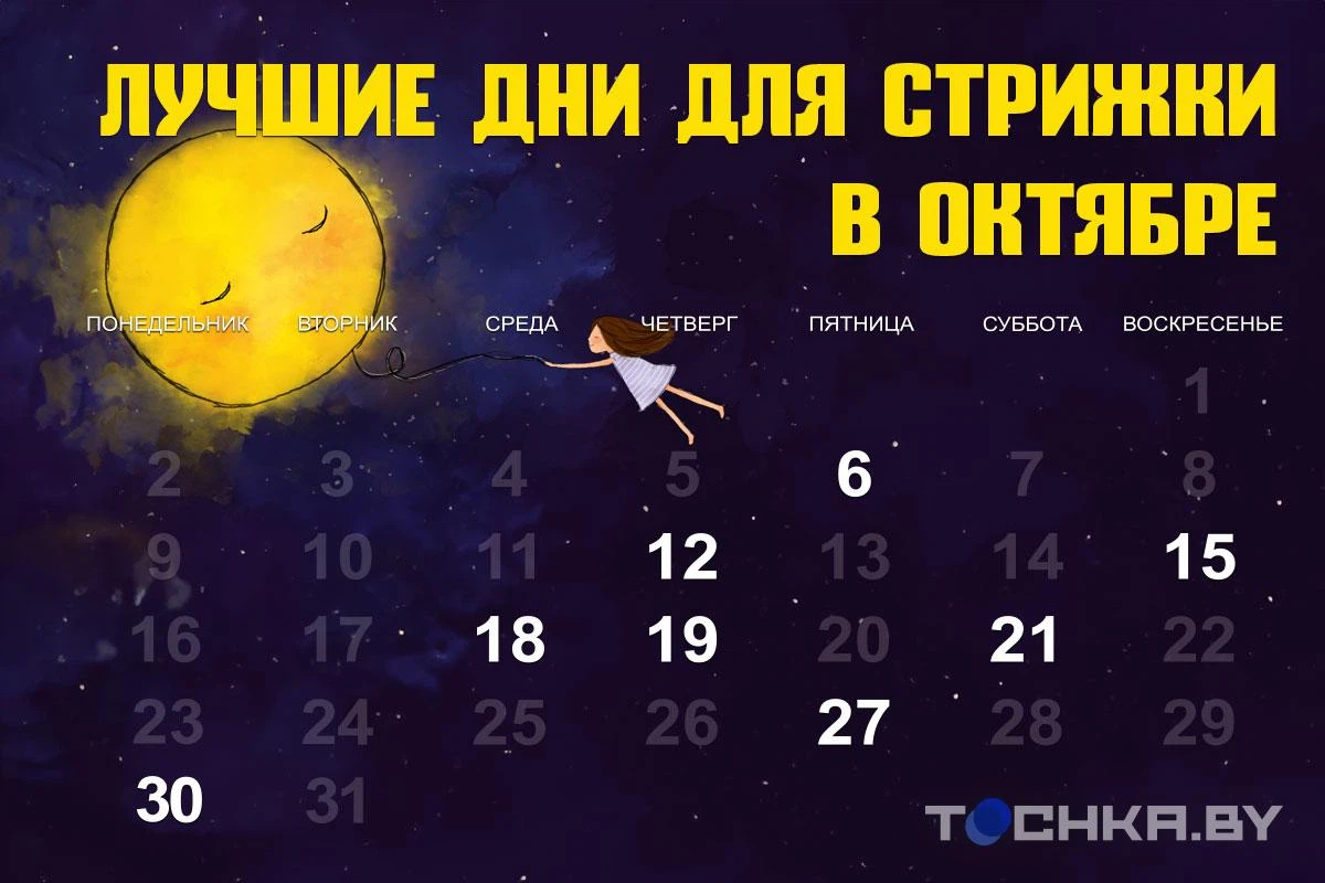 Миркосмоса лунный календарь стрижек на октябрь 2024 Лунный календарь стрижек на октябрь-2023 tochka.by