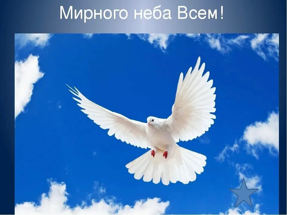 Мирное небо над головой фото За мирное небо скажем спасибо