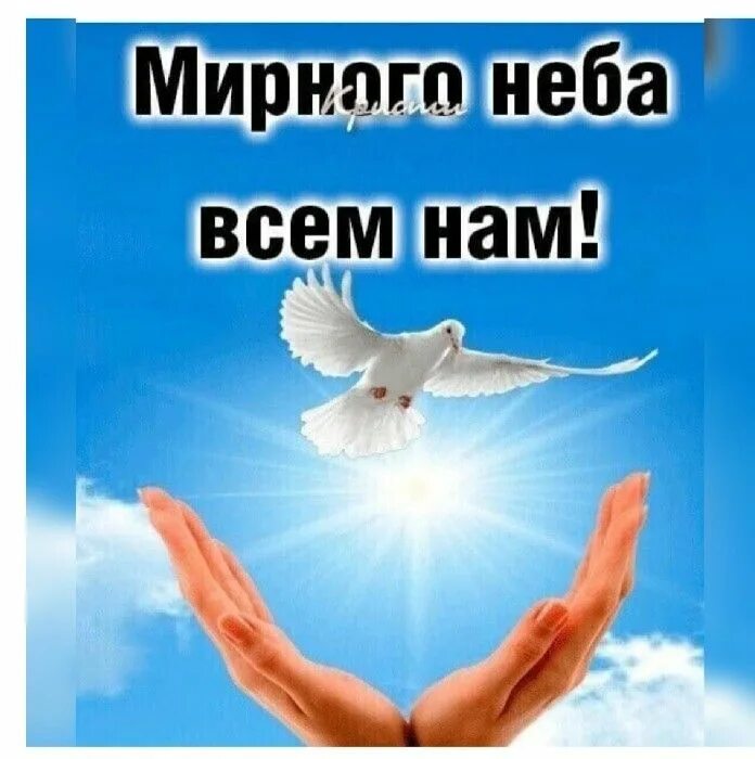 Мирное небо над головой фото Пин от пользователя ВАЛЕНТИНА на доске поздравления в 2022 г Мир, Открытки, Осен