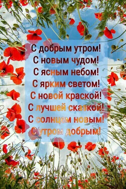Мирного дня картинки красивые с пожеланиями Пин от пользователя Zor Zhlobin на доске Спорт Поздравительные открытки, Доброе 
