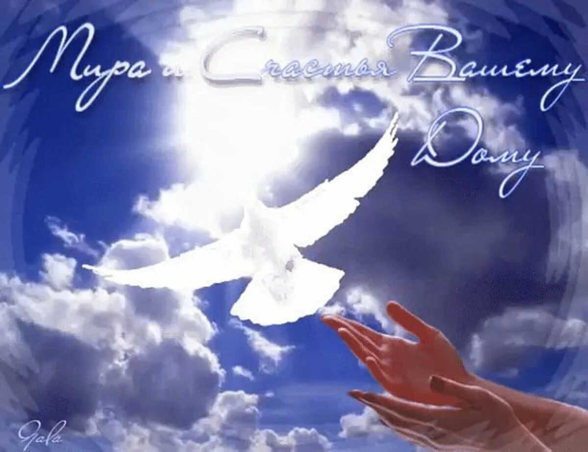 Мирного дня картинки красивые с пожеланиями Good cards - we wish you peace and goodness - Gorodprizrak