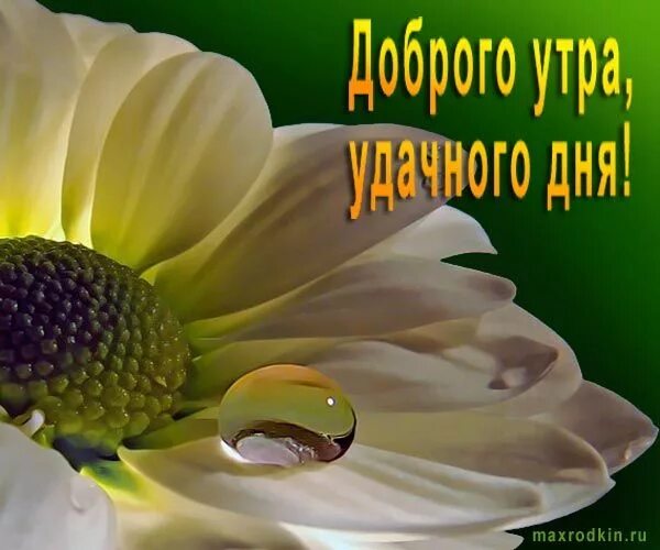 Мирного утра и хорошего дня картинки красивые Доброе утро, Картинки, Утренние сообщения