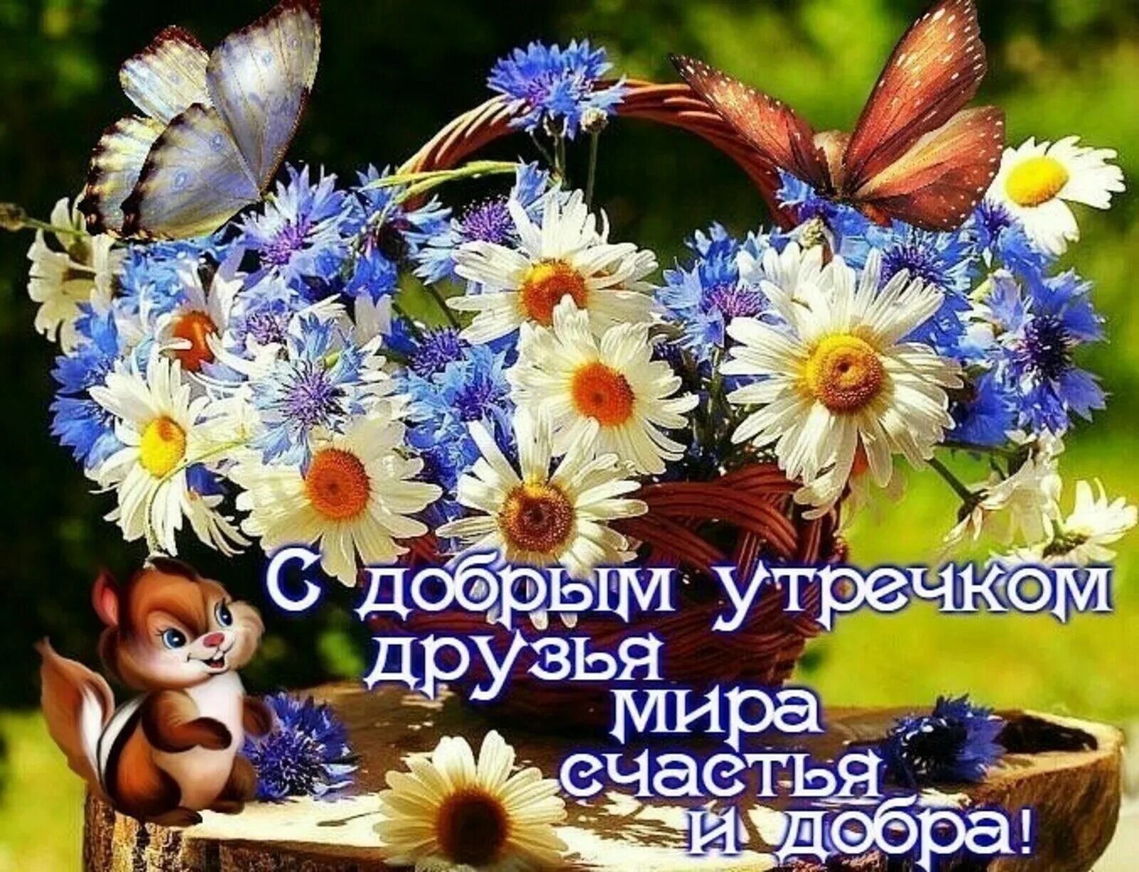 Мирного утра и хорошего дня картинки красивые Доброе утро февраля с пожеланиями счастья: найдено 80 изображений