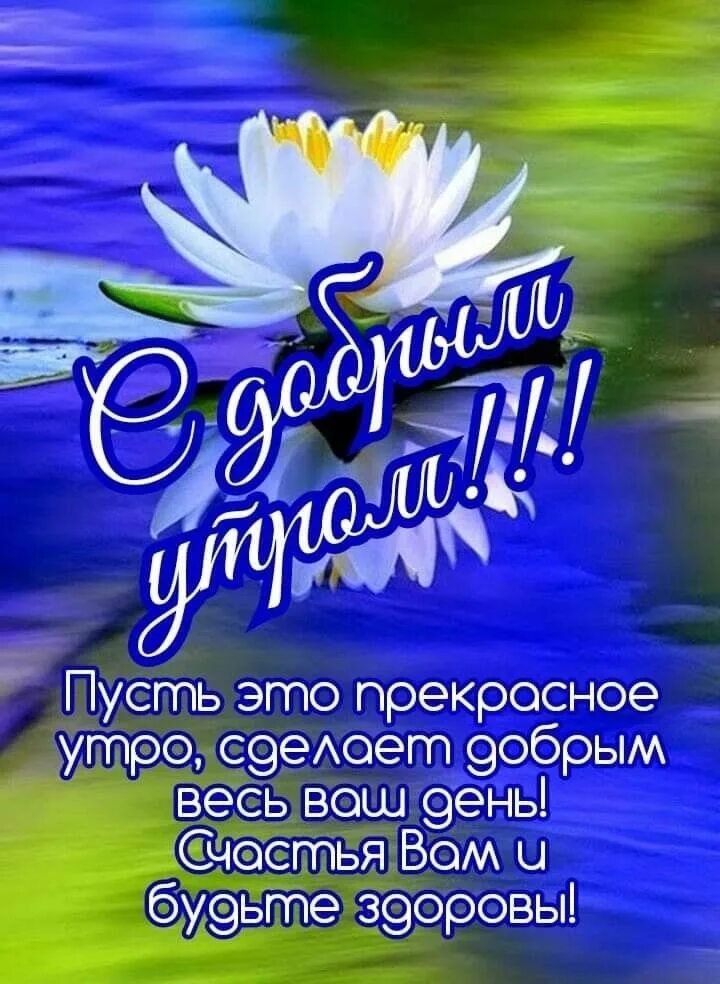 Мирного утра и хорошего дня картинки красивые Pin auf Утро Guten morgen, Guten morgen bilder, Grüße