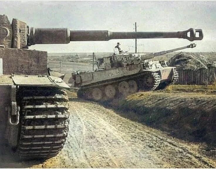 Мировое фото танка тигр Pin on WW2 Color Photos