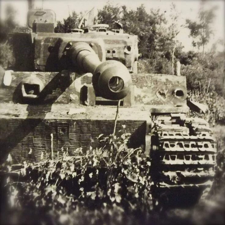 Мировое фото танка тигр Pin on Panzerkampfwagen VI ausf. E.( TIGER)