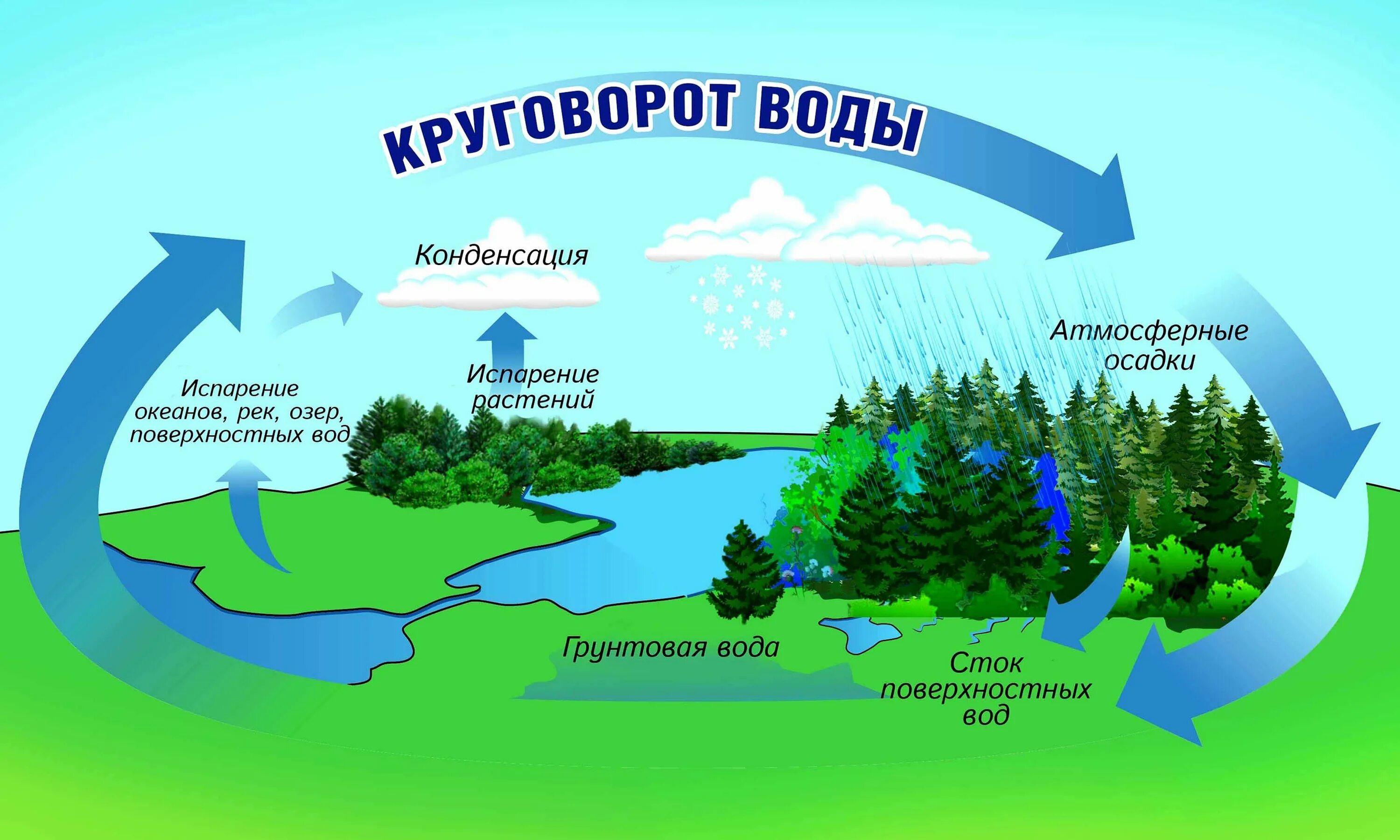 Мировой круговорот воды фото Река круговорот