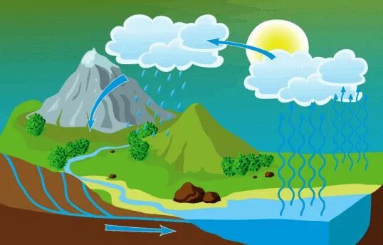 Мировой круговорот воды фото Ciclo del agua Ciclo del agua, Carpeta de lectura, Artesanías de preescolar