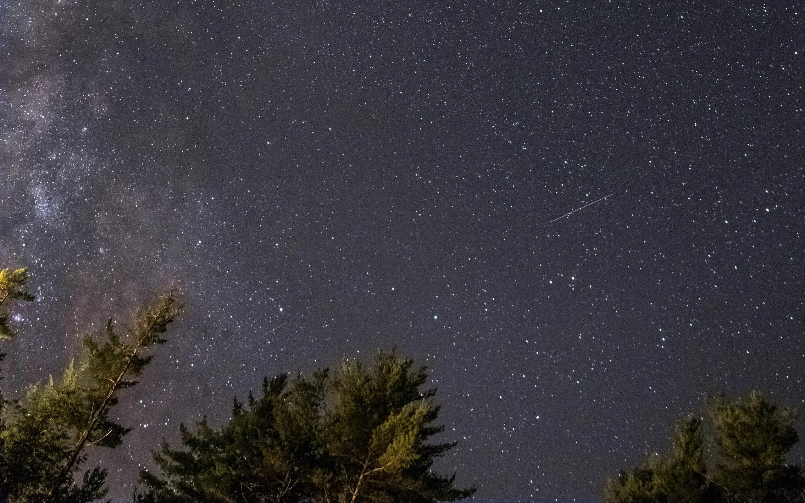 Млечный путь на небе фото реальное Download wallpaper 2560x1600 starry sky, milky way, stars, night, tops widescree